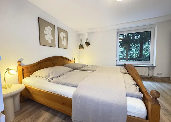 Leni Apartment Braunlage